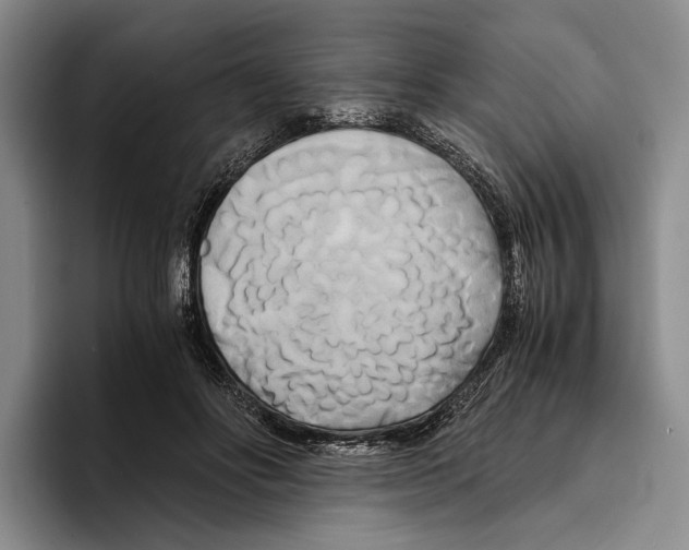 X0000096380502200802211124