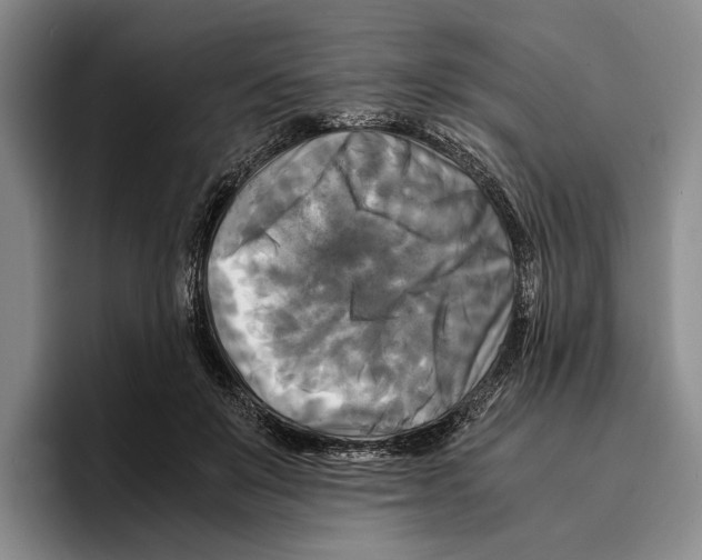 X0000096380503200802211124