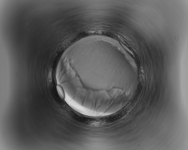 X0000096380504200802211124