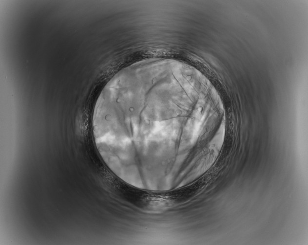 X0000096380507200802211124