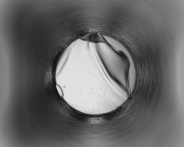 X0000096380508200802211124