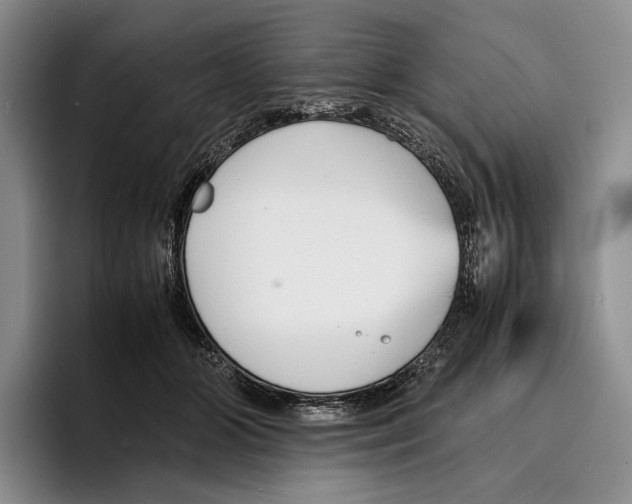 X0000096380510200802211124