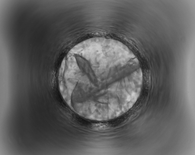 X0000096380511200802211124