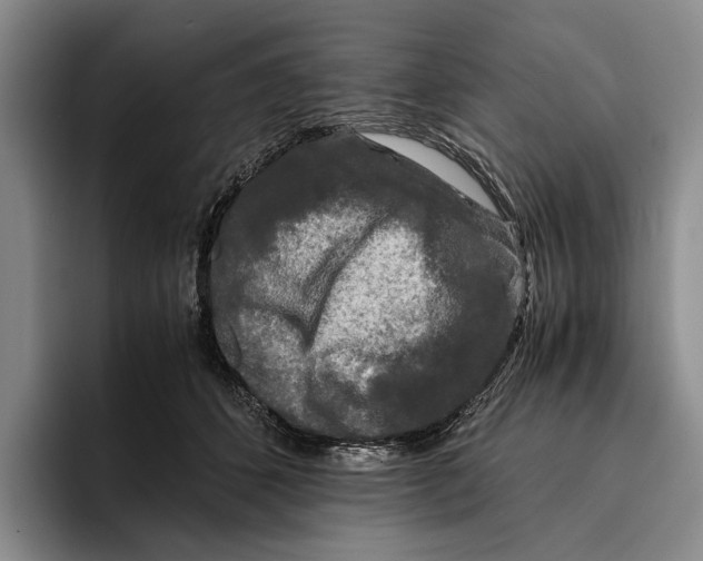 X0000096380512200802211124