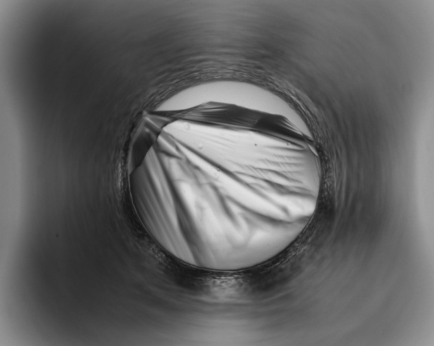 X0000096380513200802211124