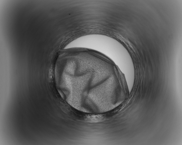 X0000096380517200802211124