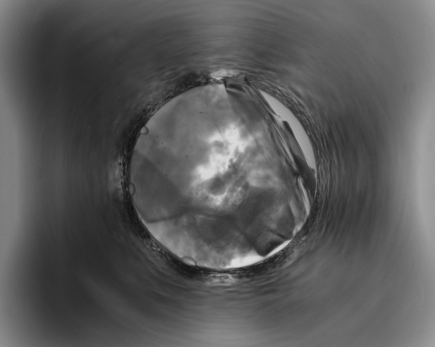 X0000096380519200802211124