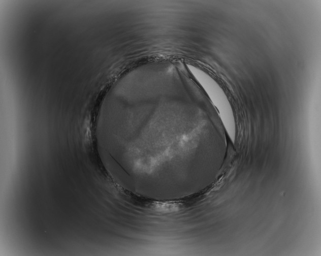 X0000096380520200802211124