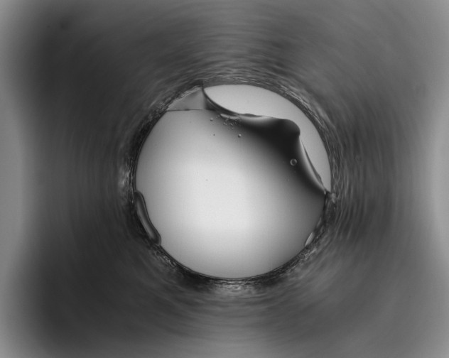 X0000096380521200802211124