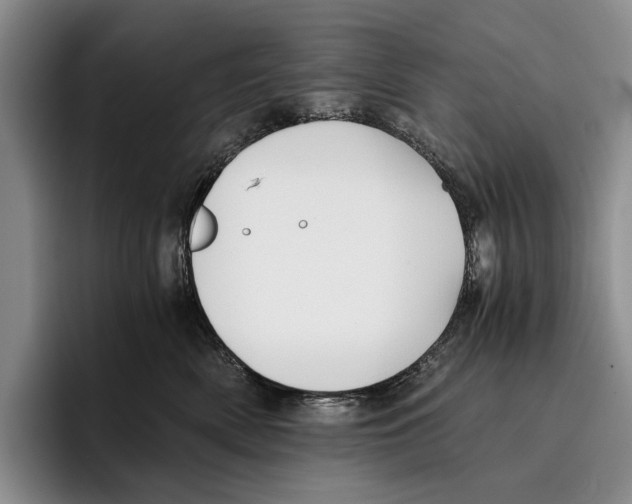 X0000096380522200802211124