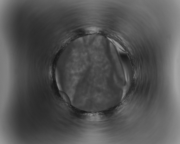 X0000096380524200802211124