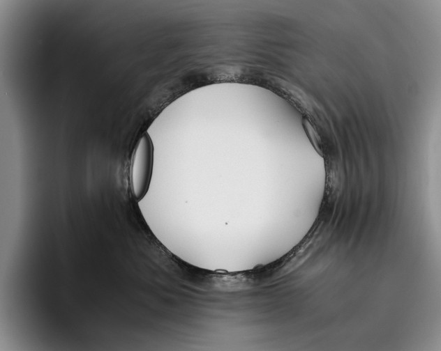 X0000096380525200802211124