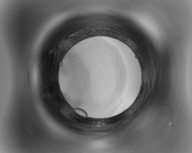 X0000096380526200802211124