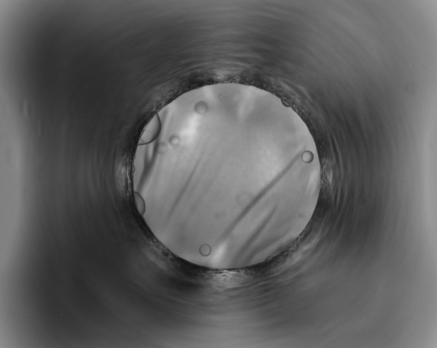 X0000096380527200802211124