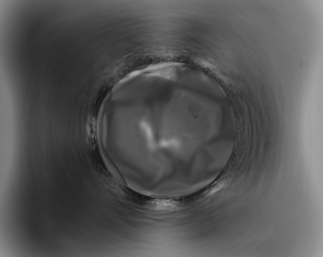 X0000096380528200802211124