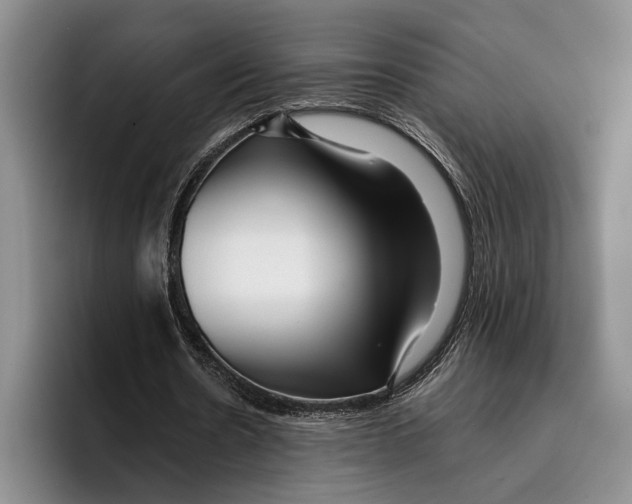 X0000096380530200802211123