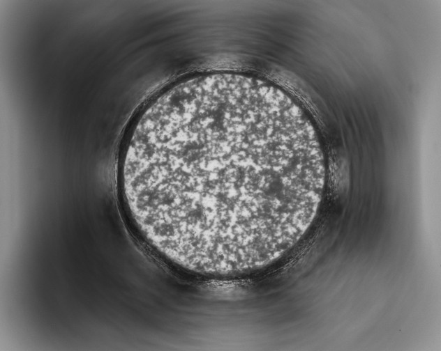 X0000096380534200802211123