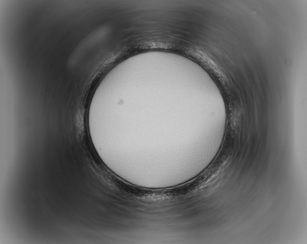 X0000096380537200802211123