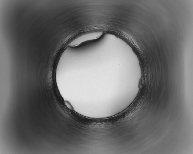 X0000096380538200802211123