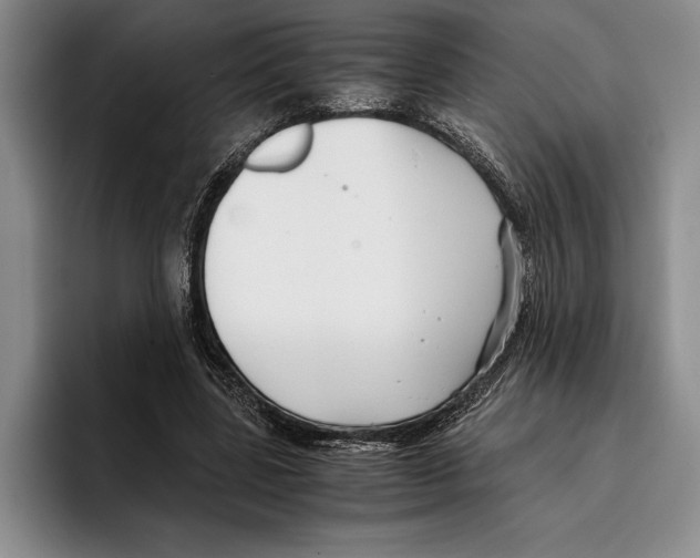 X0000096380539200802211123