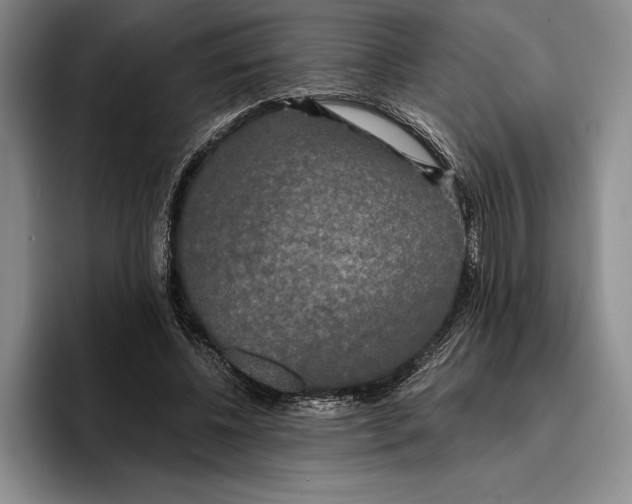 X0000096380540200802211123