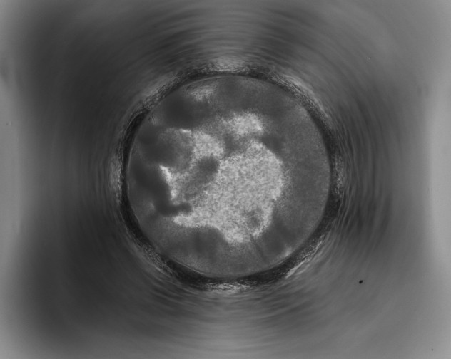 X0000096380542200802211123