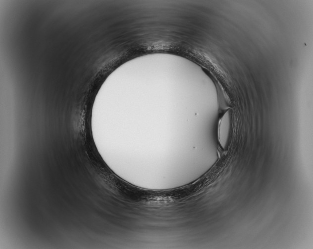 X0000096380543200802211123