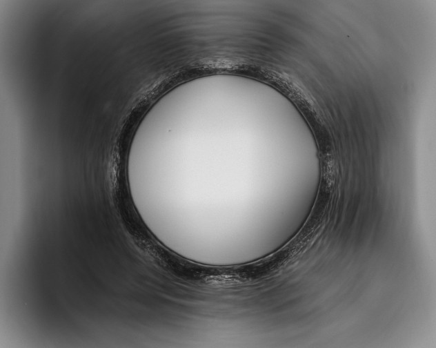 X0000096380544200802211123