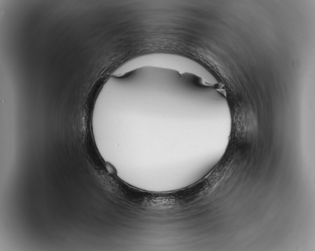 X0000096380546200802211123