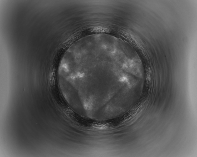 X0000096380551200802211123