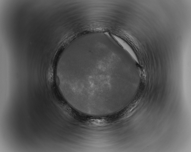 X0000096380552200802211123