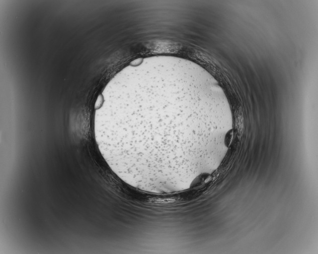 X0000096380554200802211123