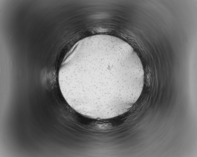 X0000096380555200802211123