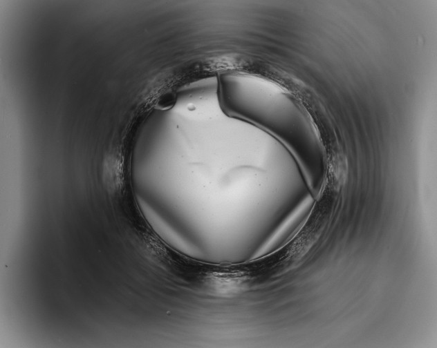 X0000096380556200802211123