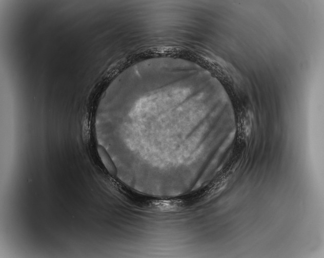 X0000096380558200802211123