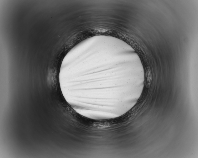 X0000096380559200802211123