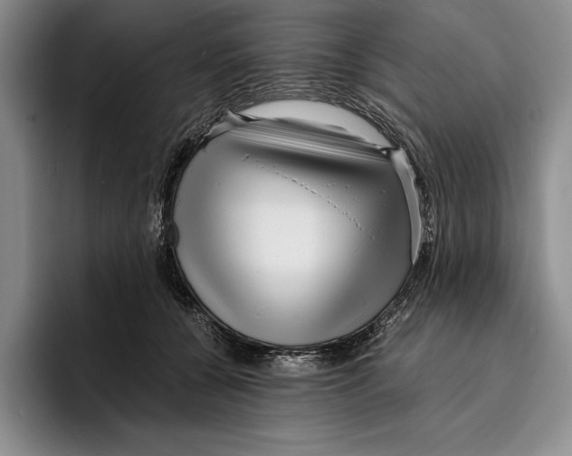 X0000096380560200802211123