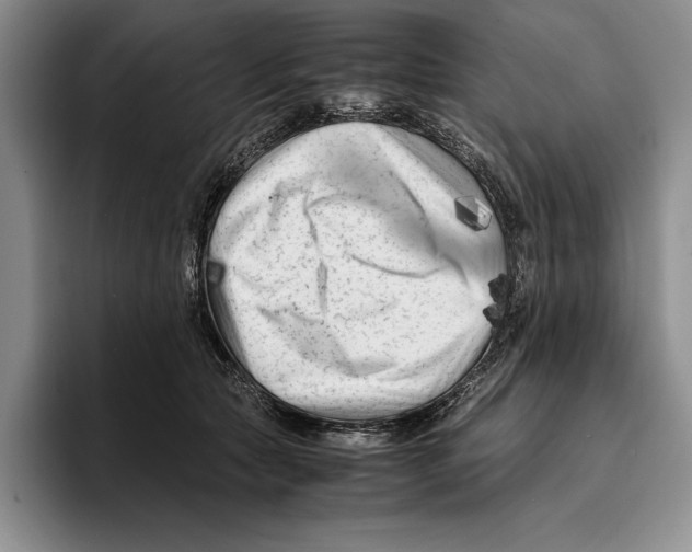 X0000096380561200802211123