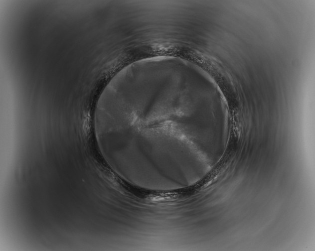 X0000096380563200802211123