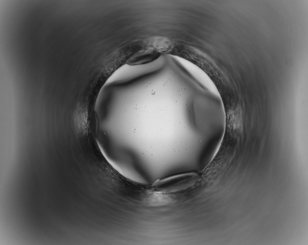 X0000096380564200802211123