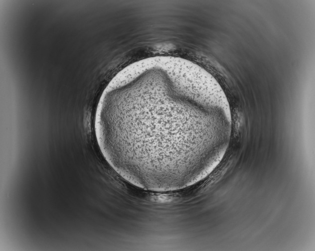 X0000096380565200802211123