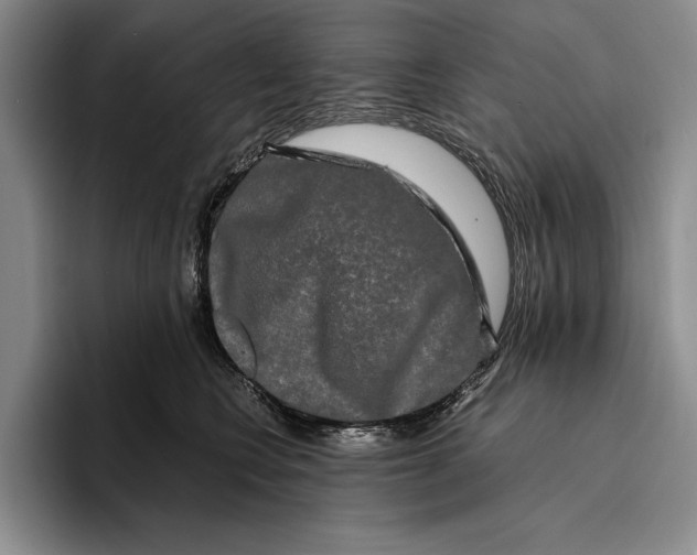 X0000096380566200802211123