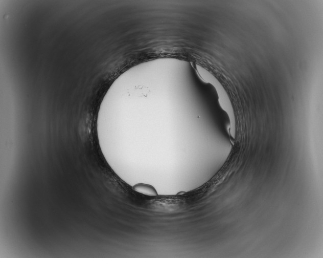 X0000096380567200802211123