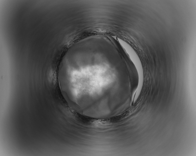 X0000096380568200802211123