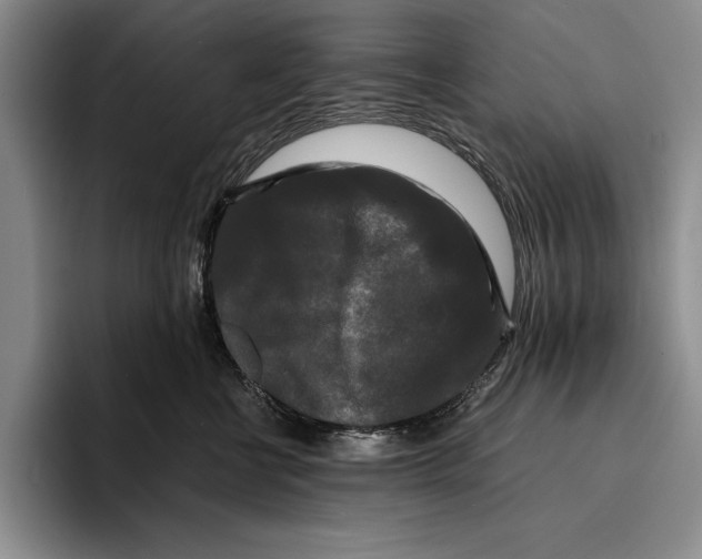 X0000096380570200802211123