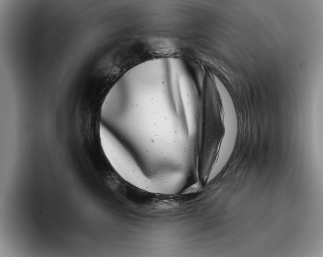 X0000096380572200802211123