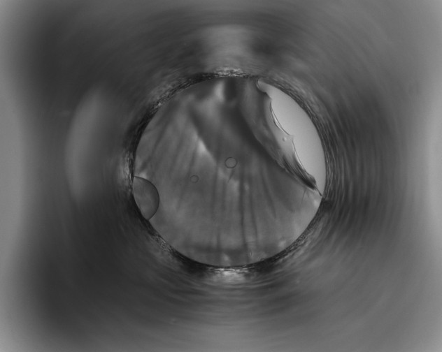 X0000096380573200802211123