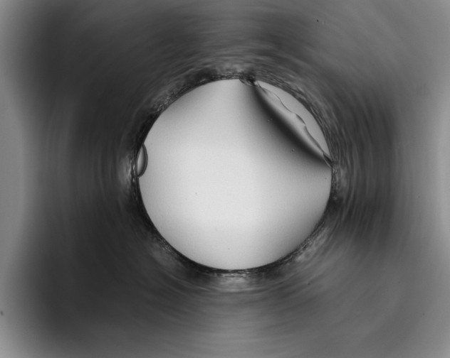 X0000096380574200802211123