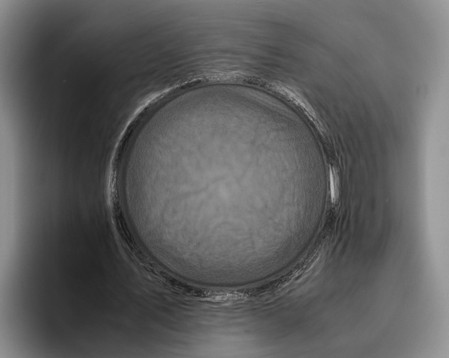 X0000096380579200802211123