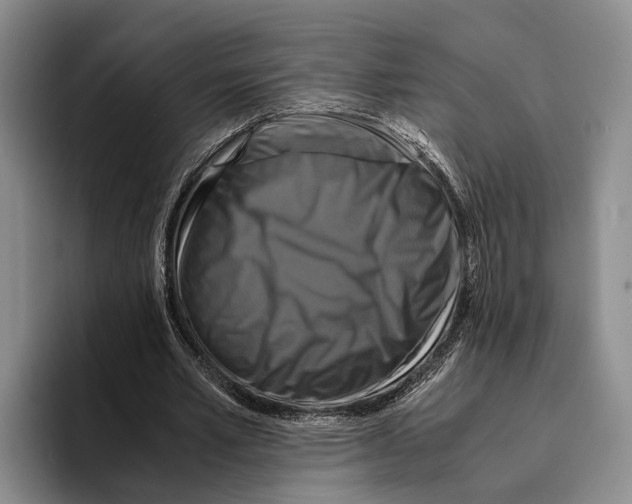 X0000096380581200802211123